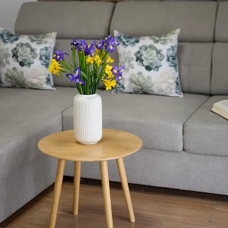 Koevirozsa Pihenohaz 代姆延