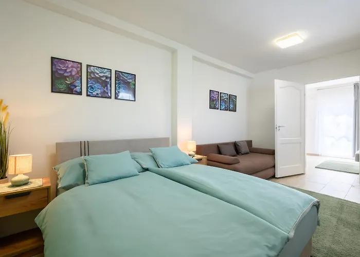 Koevirozsa Pihenohaz Pensiune 3*
